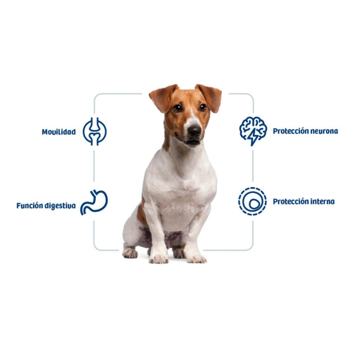 Nath Adult Mini Pollo pienso para perros - Imagen 2