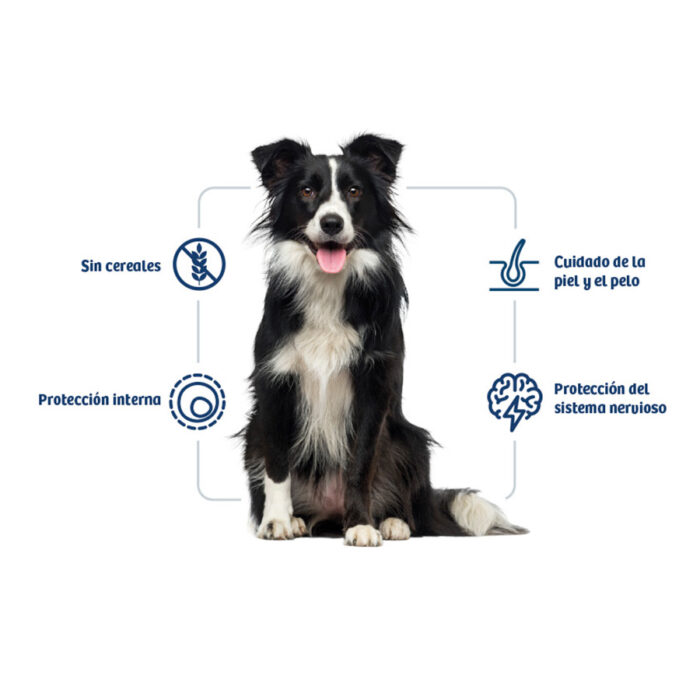 Nath Adult Medium Maxi Sensitive Pescado Blanco y Salmón pienso para perros - Imagen 2