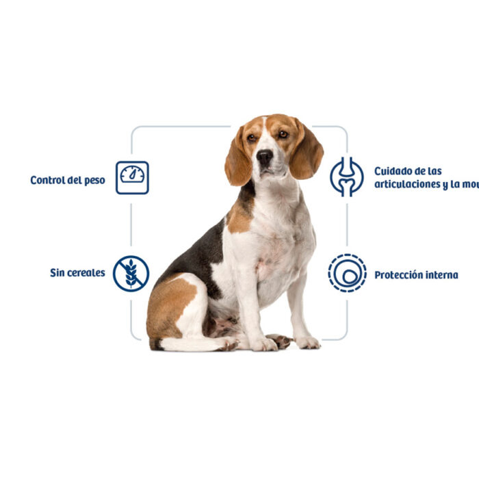 Nath Adult Medium Maxi Weight Control Pienso para Perros - Imagen 2