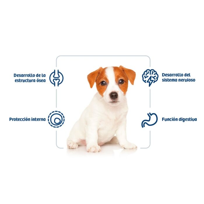 Nath Puppy Mini Pollo pienso para perros - Imagen 4