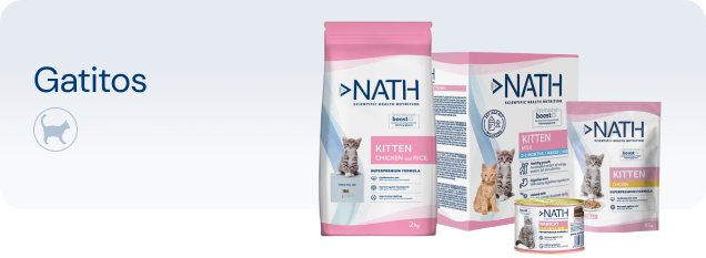 Ver productos para gatos júnior