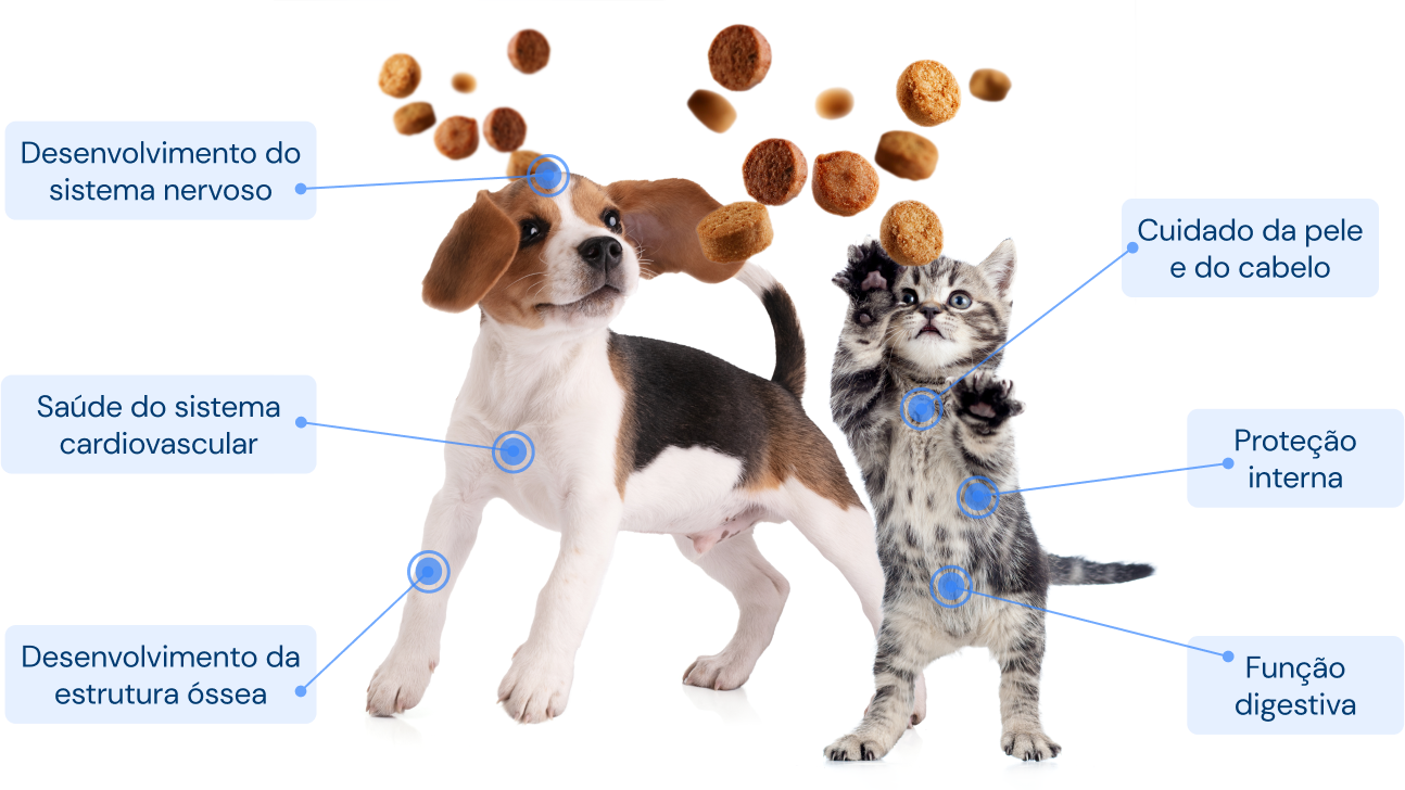 Infográfico com um cão e um gato cercados por grãos de ração, destacando os benefícios da nutrição veterinária: desenvolvimento do sistema nervoso, saúde cardiovascular, desenvolvimento ósseo, cuidado com a pele e pelagem, proteção interna e função digestiva.