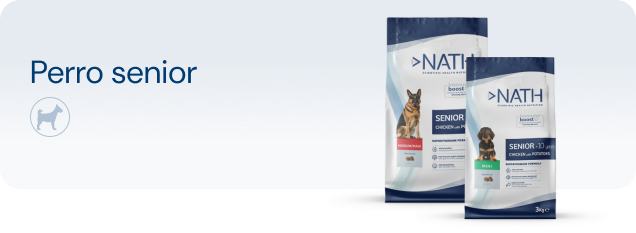 Ver productos para perros adultos y senior